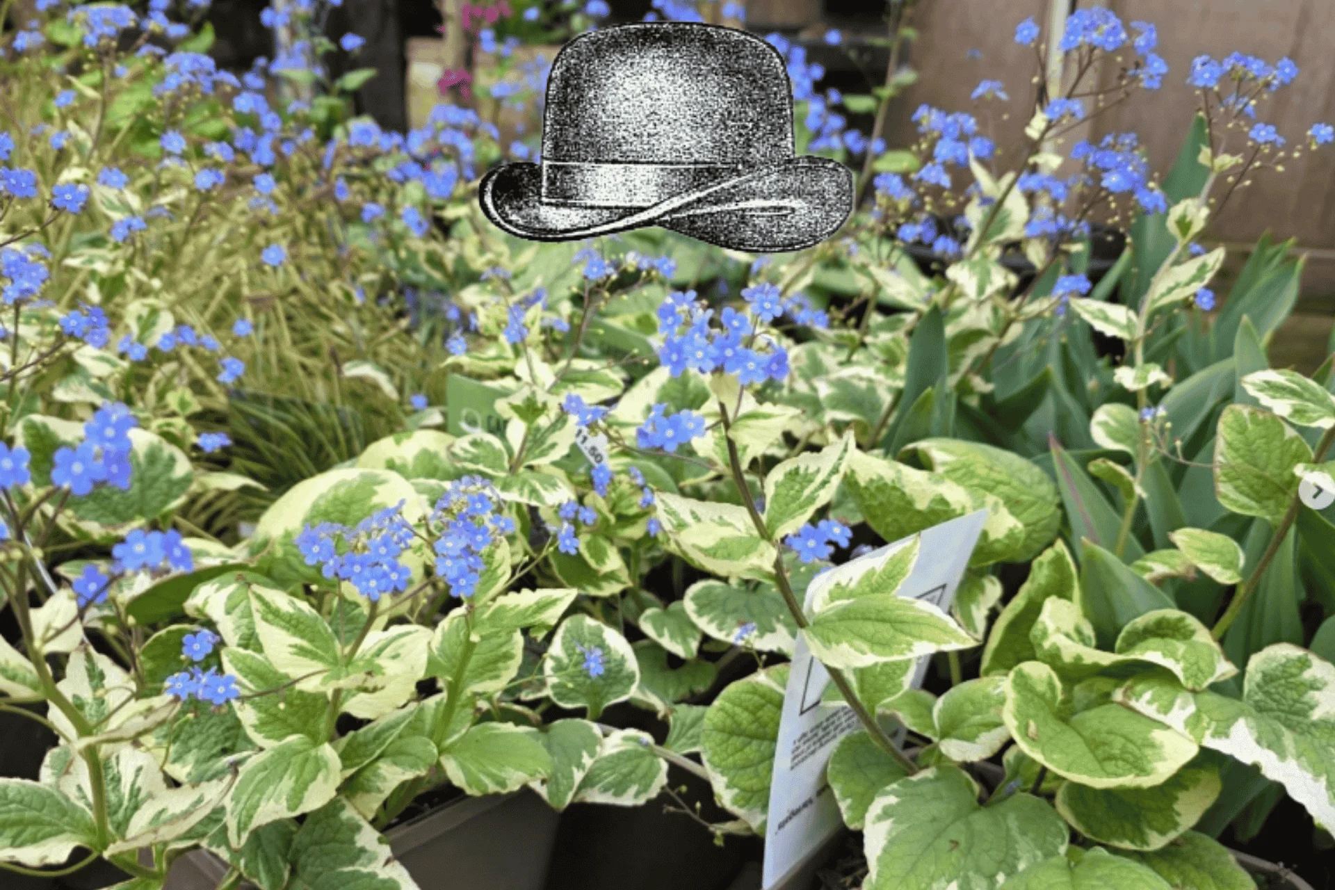 Spring at Garden Sage